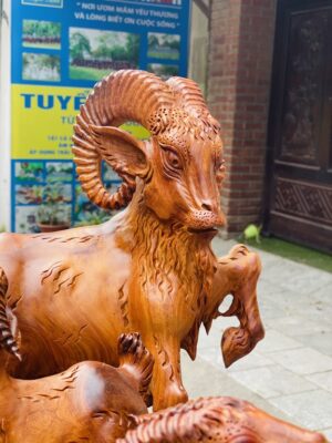 Tam dương đứng bao tiền.