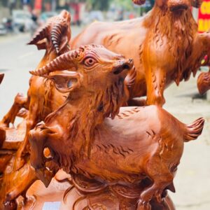 Tam dương đứng bao tiền.