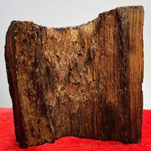 Bách Niên Giai Lão Gỗ Trắc