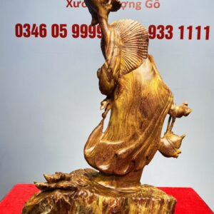 Đạt Ma Vác Nấm Linh Chi Gỗ Hương