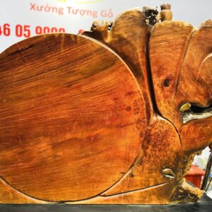 Di Lạc Vác Cành Đào Cửu Tiểu Chum Vàng Cây Tùng Gỗ Nu Hương