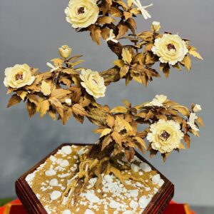 Bonsai Hoa Phù Dung Ngà Voi Gỗ Hoàng Đàn