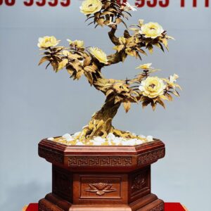 Bonsai Hoa Phù Dung Ngà Voi Gỗ Hoàng Đàn