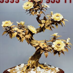 Bonsai Hoa Phù Dung Ngà Voi Gỗ Hoàng Đàn
