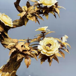 Bonsai Hoa Phù Dung Ngà Voi Gỗ Hoàng Đàn
