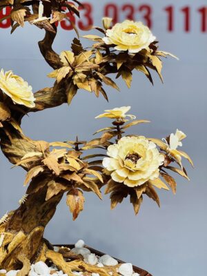 Bonsai Hoa Phù Dung Ngà Voi Gỗ Hoàng Đàn