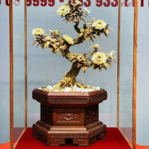 Bonsai Hoa Phù Dung Ngà Voi Gỗ Hoàng Đàn