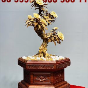 Bonsai Hoa Phù Dung Ngà Voi Gỗ Hoàng Đàn