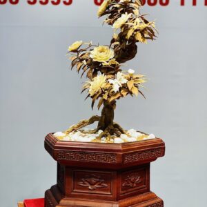 Bonsai Hoa Phù Dung Ngà Voi Gỗ Hoàng Đàn