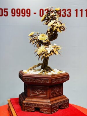 Bonsai Hoa Phù Dung Ngà Voi Gỗ Hoàng Đàn