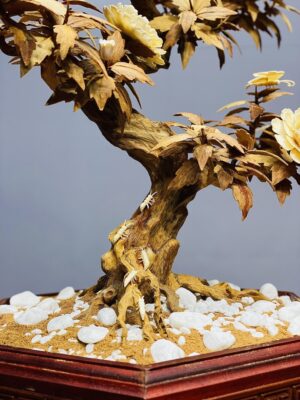 Bonsai Hoa Phù Dung Ngà Voi Gỗ Hoàng Đàn