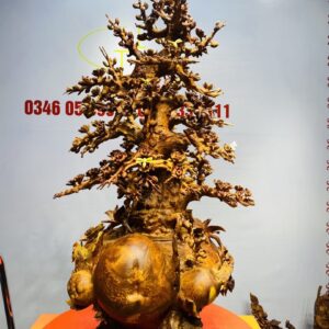 Bình Hoa Mai Gỗ Nu Hương