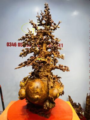 Bình Hoa Mai Gỗ Nu Hương