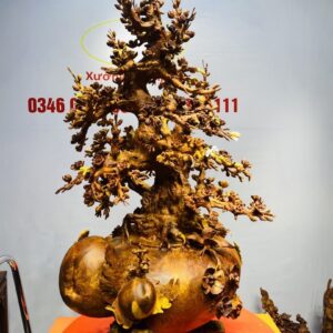 Bình Hoa Mai Gỗ Nu Hương