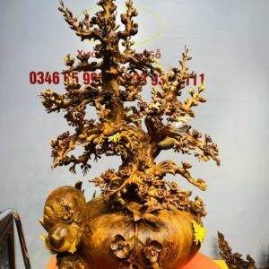 Bình Hoa Mai Gỗ Nu Hương