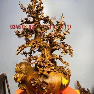Bình Hoa Mai Gỗ Nu Hương