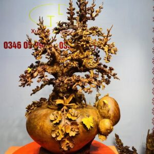 Bình Hoa Mai Gỗ Nu Hương