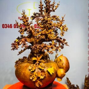 Bình Hoa Mai Gỗ Nu Hương