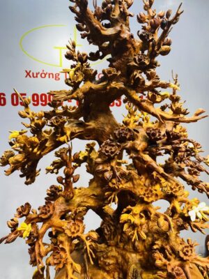 Bình Hoa Mai Gỗ Nu Hương