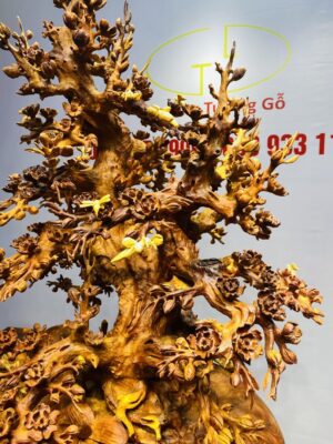 Bình Hoa Mai Gỗ Nu Hương