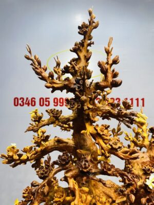 Bình Hoa Mai Gỗ Nu Hương