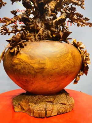 Bình Hoa Mai Gỗ Nu Hương
