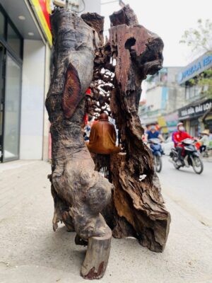 Đạt Ma Sư Tổ Ngồi Thiền Dưới Cây Tùng Gỗ Hương
