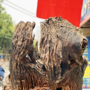 Đạt Ma Sư Tổ Ngồi Thiền Dưới Cây Tùng Gỗ Hương