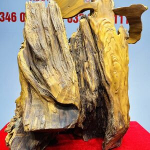 Tiểu Cảnh Gỗ Hương