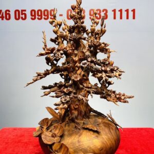 Bình Hoa Mai Gỗ Sưa