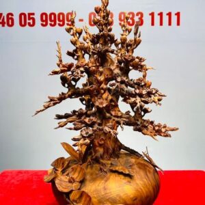 Bình Hoa Mai Gỗ Sưa