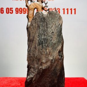 Bồ Đề Đạt Ma Về Tây Thiên Gỗ Trắc