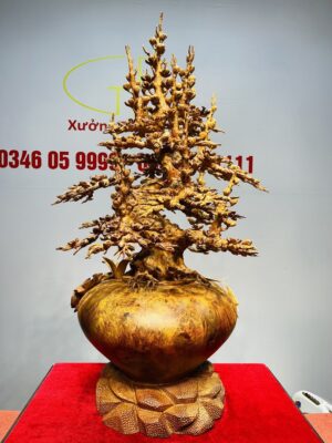 Bình Mai Gỗ Nu Hương