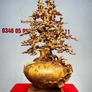 Bình Mai Gỗ Nu Hương