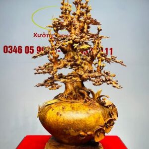 Bình Mai Gỗ Nu Hương