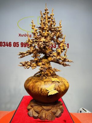 Bình Mai Gỗ Nu Hương