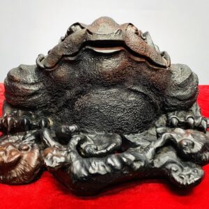 Thiềm Thừ Nấm Linh Chi Gỗ Trắc