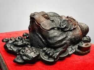 Thiềm Thừ Nấm Linh Chi Gỗ Trắc