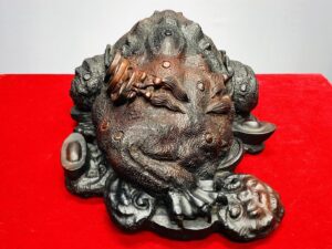 Thiềm Thừ Nấm Linh Chi Gỗ Trắc