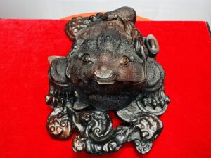 Thiềm Thừ Nấm Linh Chi Gỗ Trắc