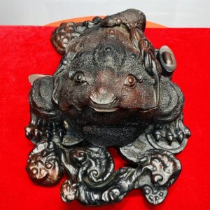 Thiềm Thừ Nấm Linh Chi Gỗ Trắc