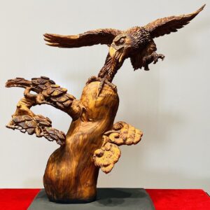 Đại Bàng Gỗ Sưa