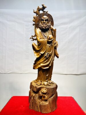 Đạt Ma Khất Thực Gỗ Bách Xanh