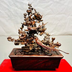 Chậu Hoa Phù Dung Chim Trĩ Gỗ Trắc