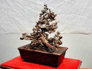 Chậu Hoa Phù Dung Chim Trĩ Gỗ Trắc