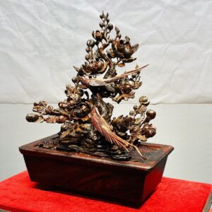 Chậu Hoa Phù Dung Chim Trĩ Gỗ Trắc