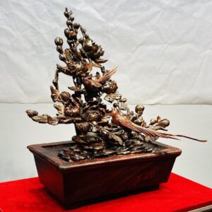 Chậu Hoa Phù Dung Chim Trĩ Gỗ Trắc