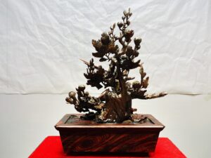 Chậu Hoa Phù Dung Chim Trĩ Gỗ Trắc