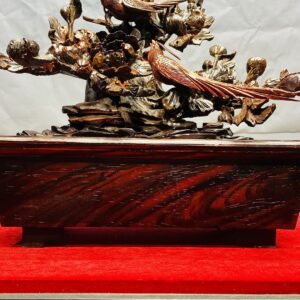 Chậu Hoa Phù Dung Chim Trĩ Gỗ Trắc