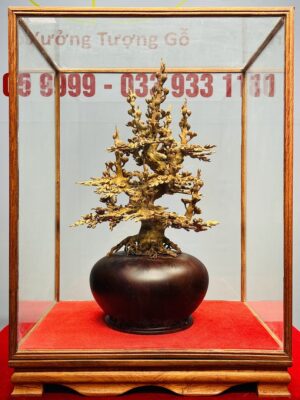 Bình Mai Hoàng Đàn Tuyết Lạng Sơn
